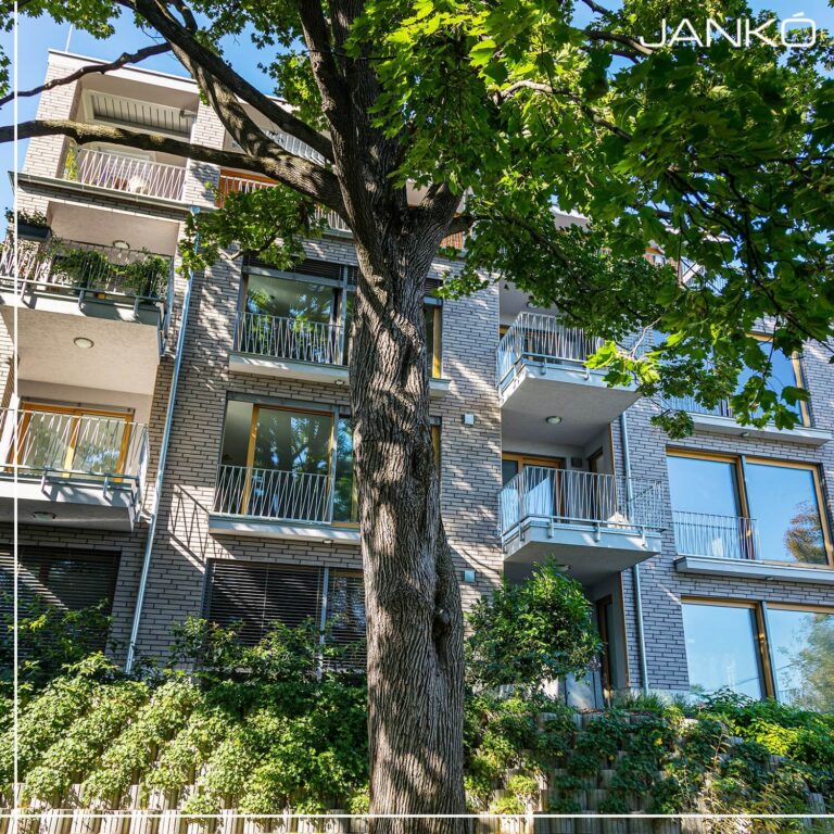 459720391_1056160029847818_8873136964274684295_n